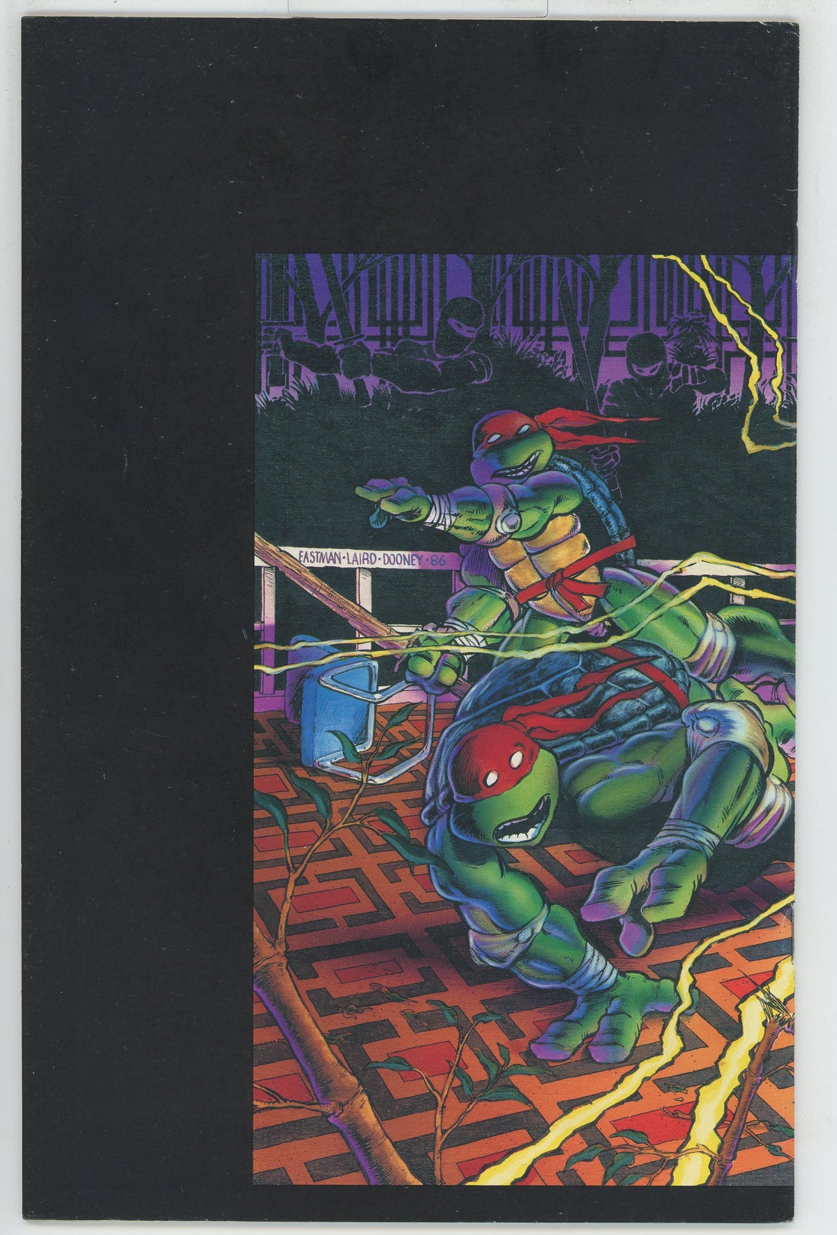 Teenage Mutant Ninja Turtles (1984) #9