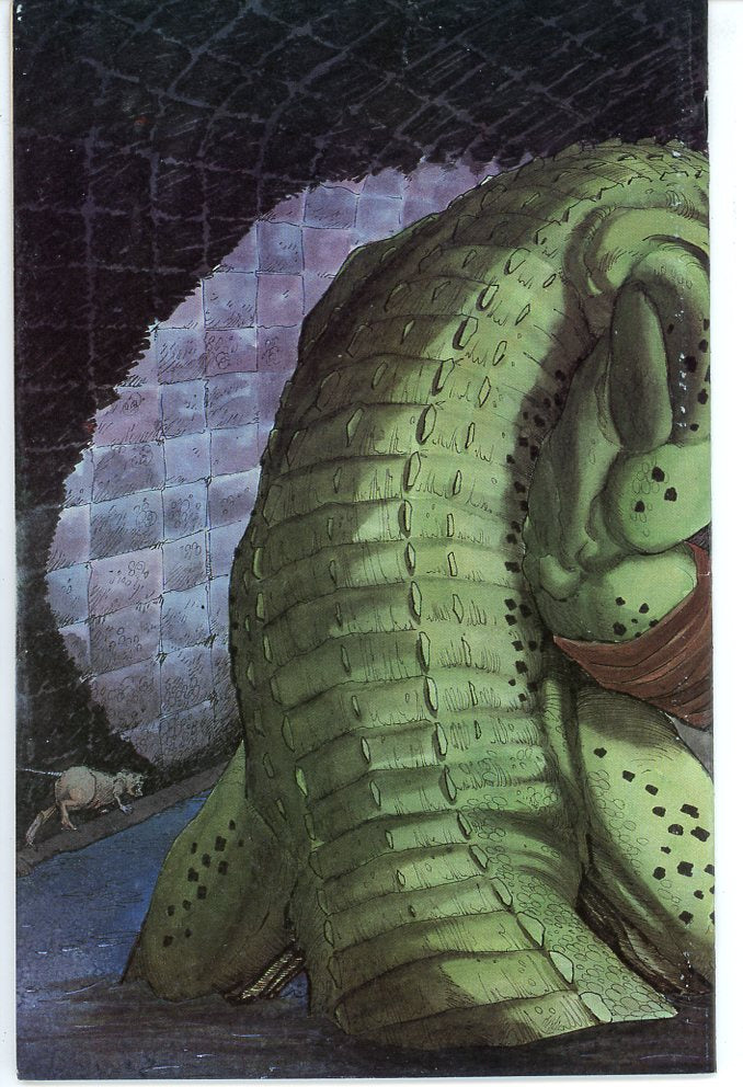 Tales of the Teenage Mutant Ninja Turtles (1987) #6