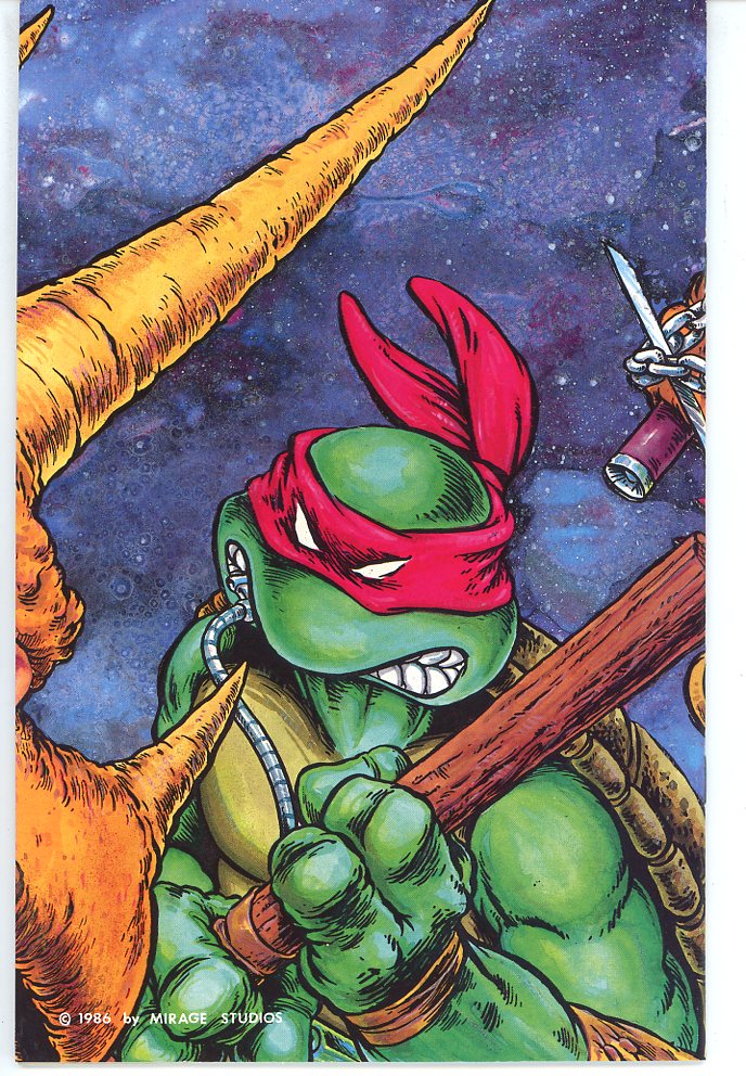 Teenage Mutant Ninja Turtles (1984) #6