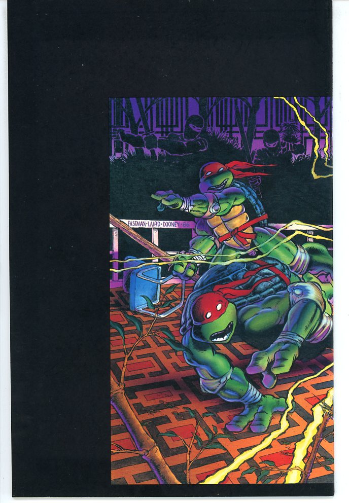 Teenage Mutant Ninja Turtles (1984) #9