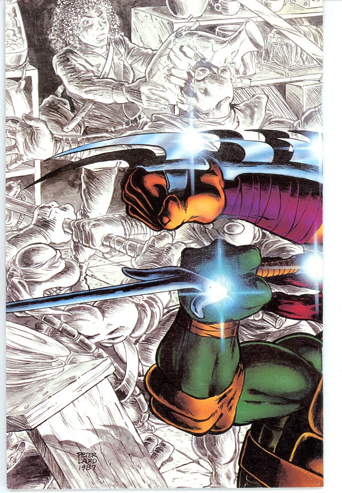 Teenage Mutant Ninja Turtles (1984) #10
