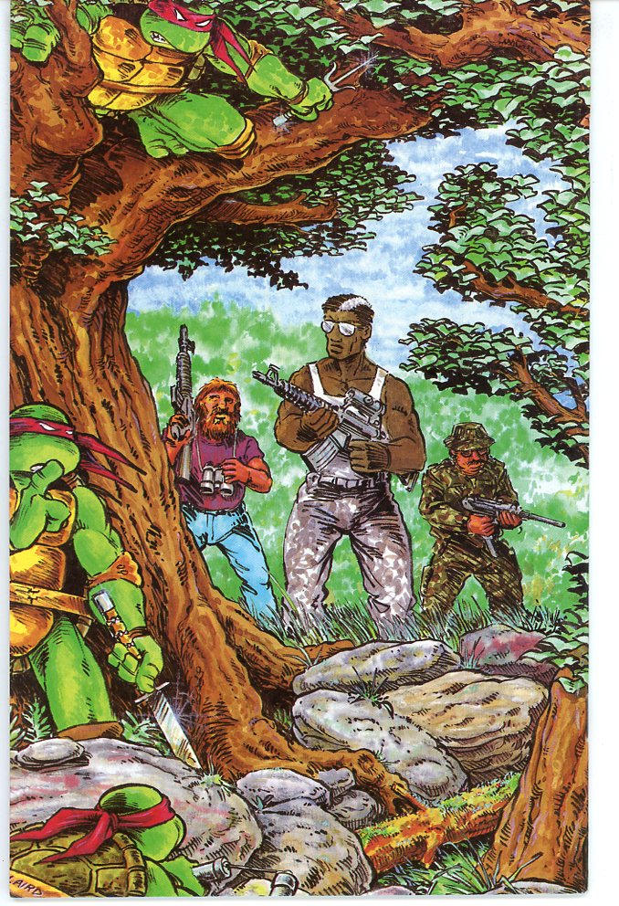 Teenage Mutant Ninja Turtles (1984) #12