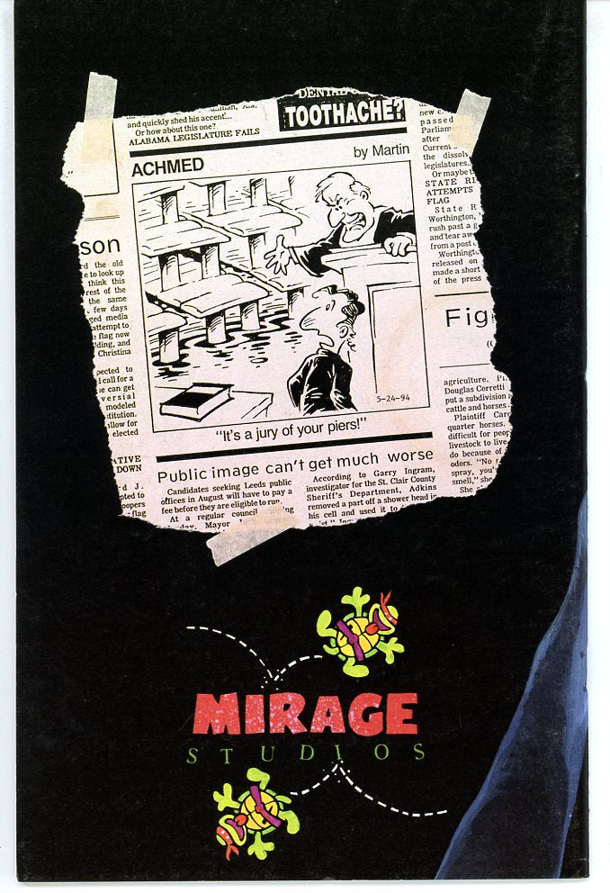 Teenage Mutant Ninja Turtles (1984) #16