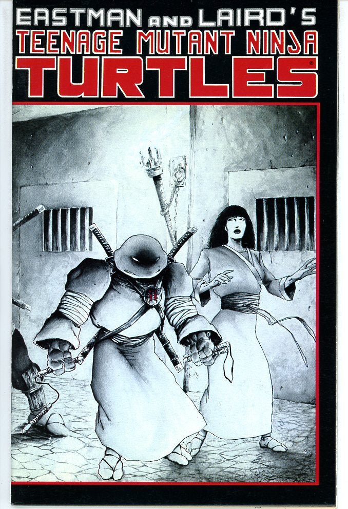 Teenage Mutant Ninja Turtles (1984) #17