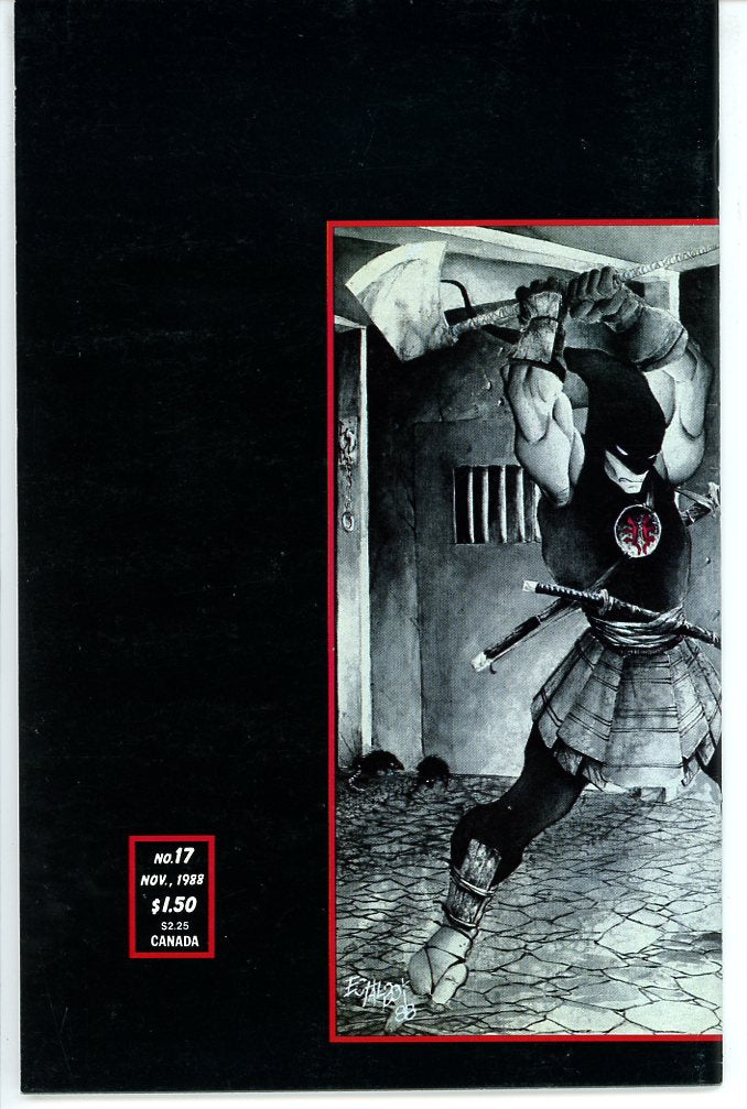 Teenage Mutant Ninja Turtles (1984) #17