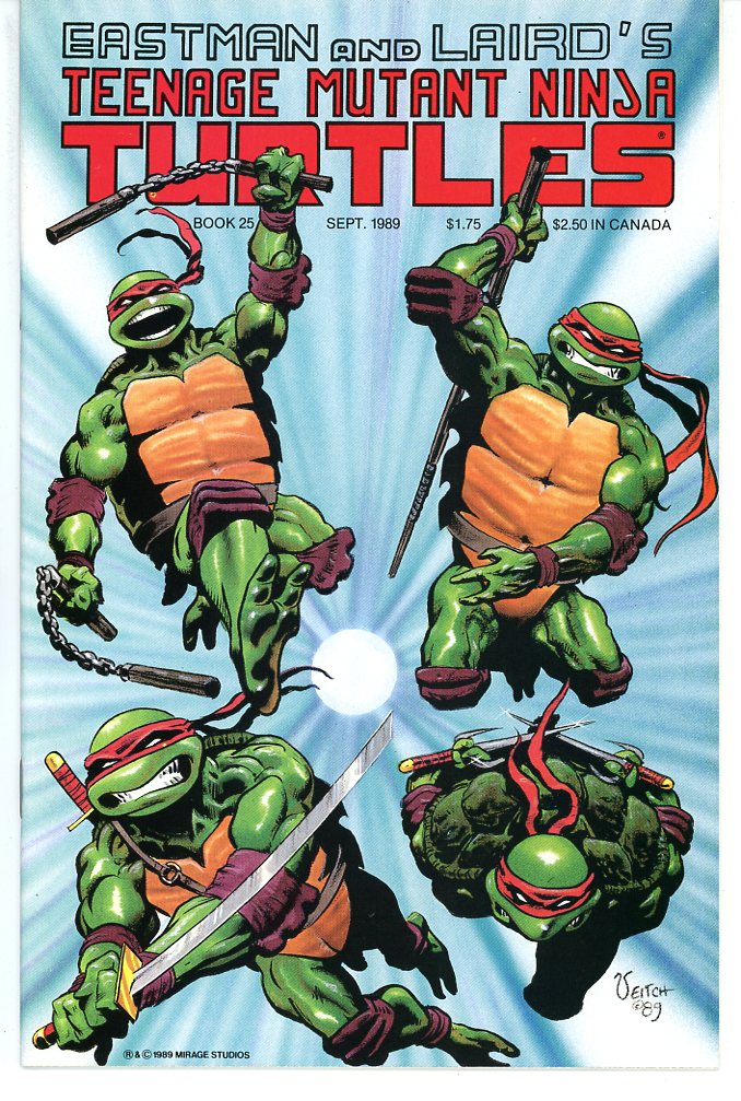 Teenage Mutant Ninja Turtles (1984) #25
