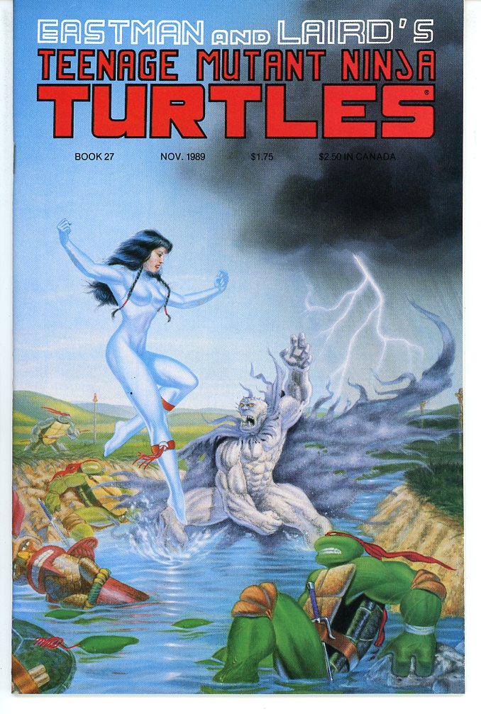 Teenage Mutant Ninja Turtles (1984) #27