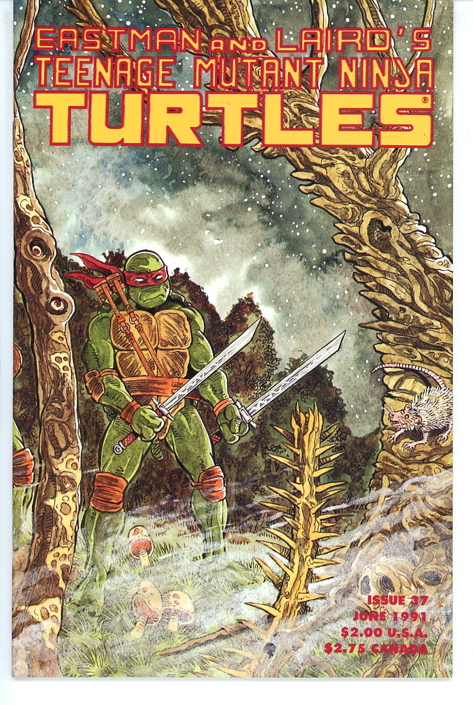 Teenage Mutant Ninja Turtles (1984) #37