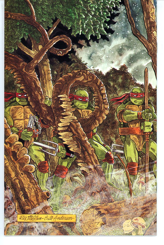 Teenage Mutant Ninja Turtles (1984) #37