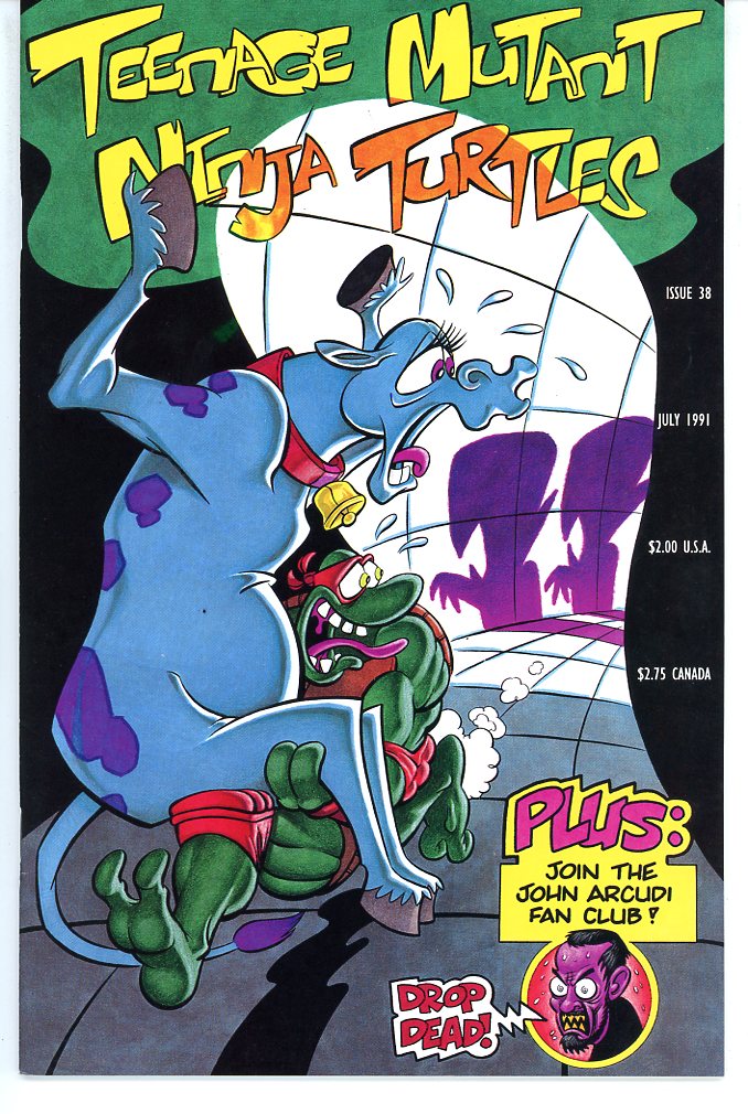 Teenage Mutant Ninja Turtles (1984) #38