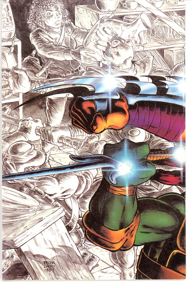 Teenage Mutant Ninja Turtles (1984) #10