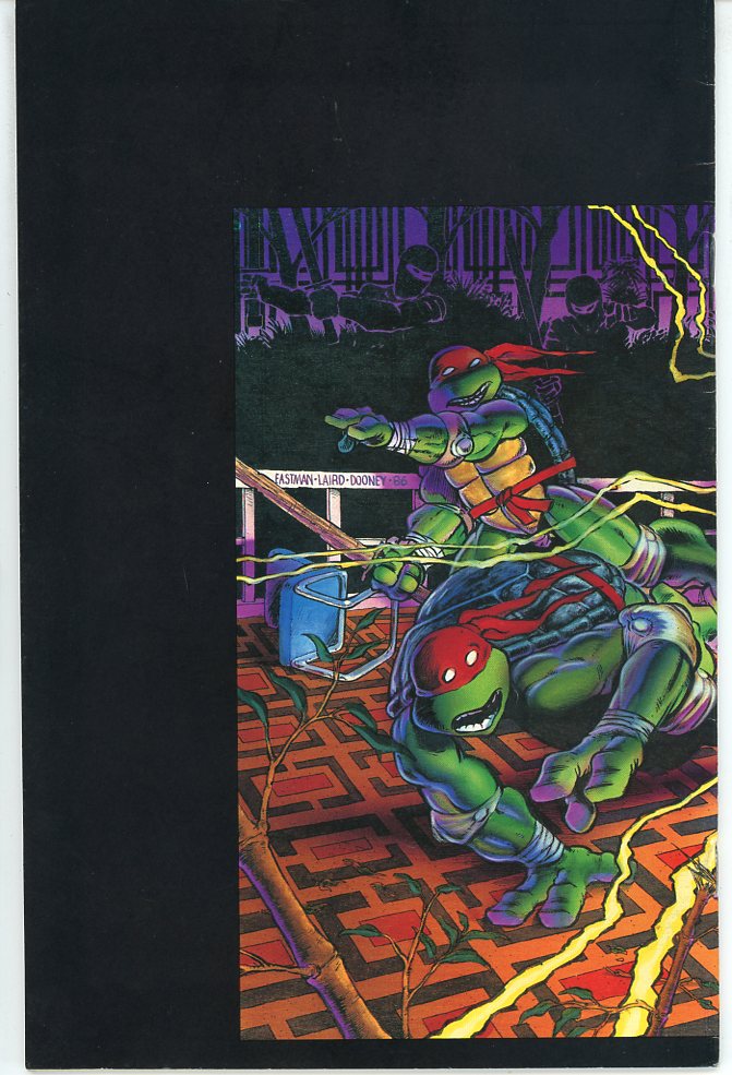 Teenage Mutant Ninja Turtles (1984) #9