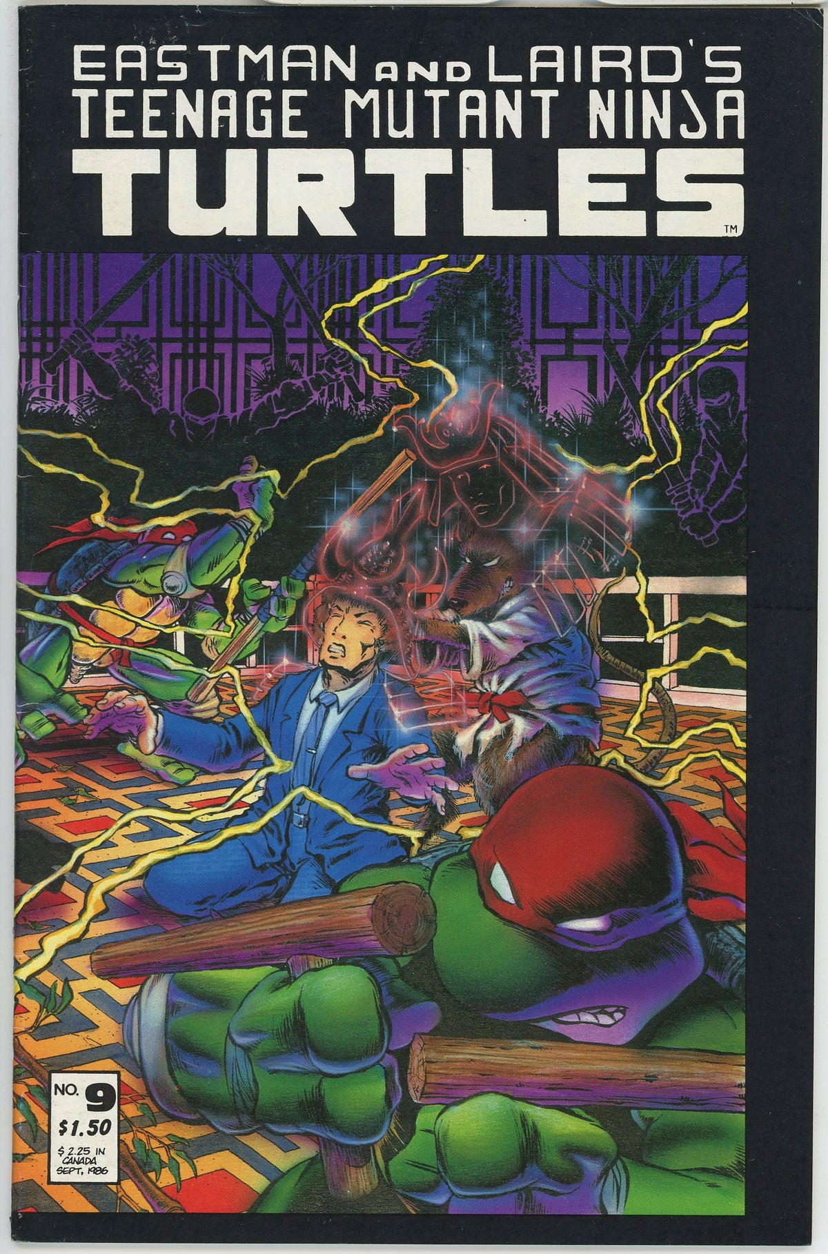 Teenage Mutant Ninja Turtles (1984) #9