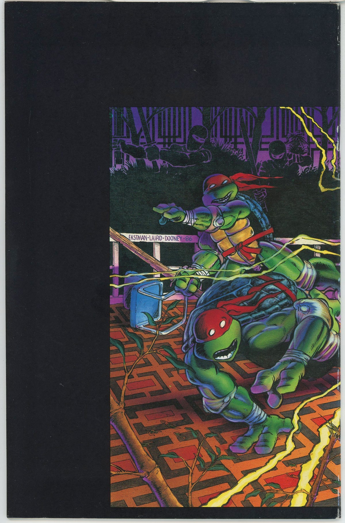 Teenage Mutant Ninja Turtles (1984) #9