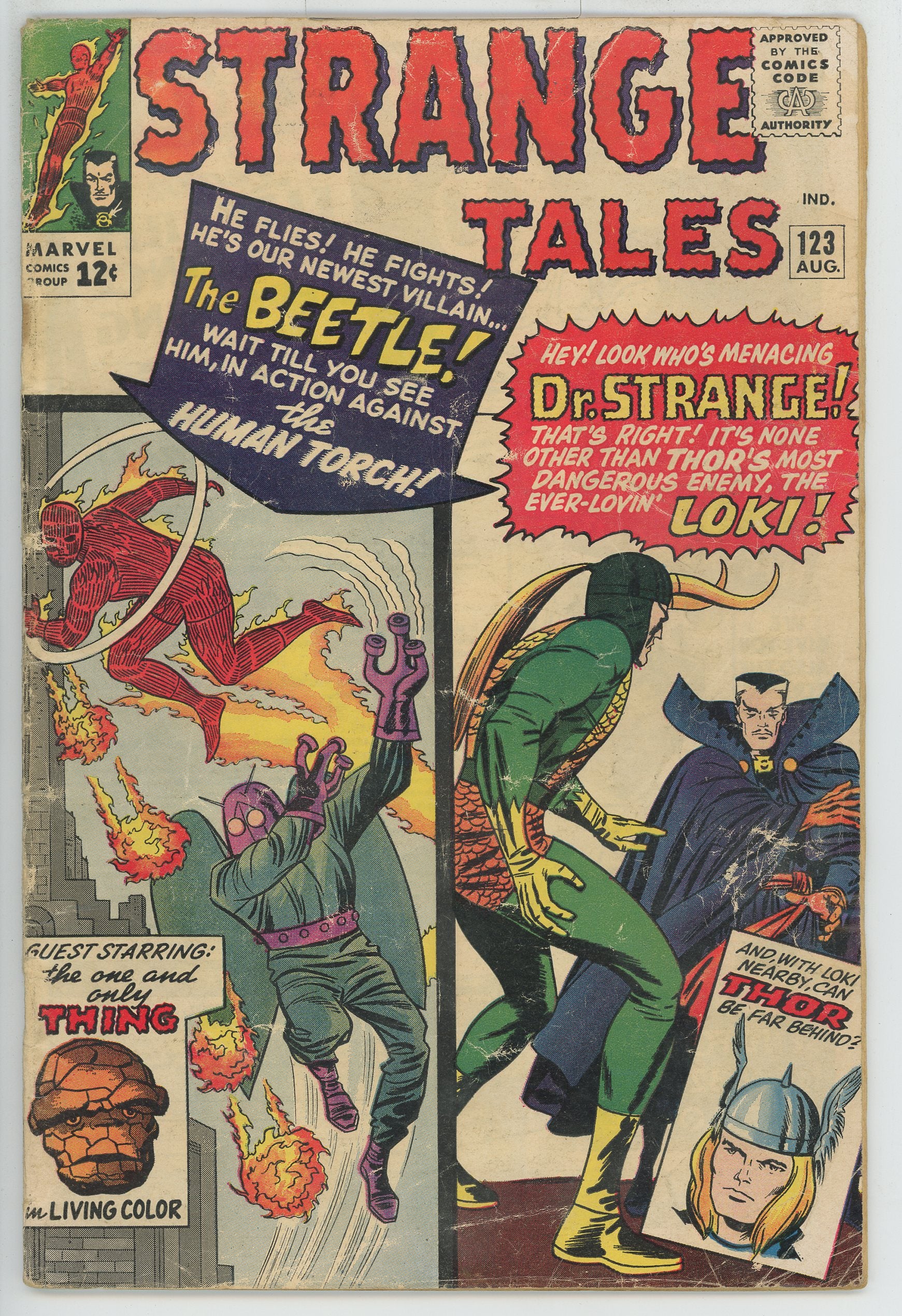 Strange Tales Vol.1 #123